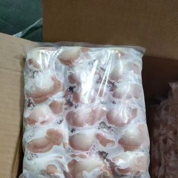 中鸭胗16个左右10吨