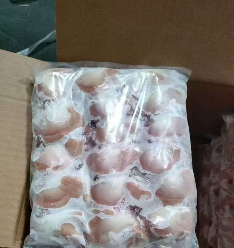 中鸭胗16个左右10吨