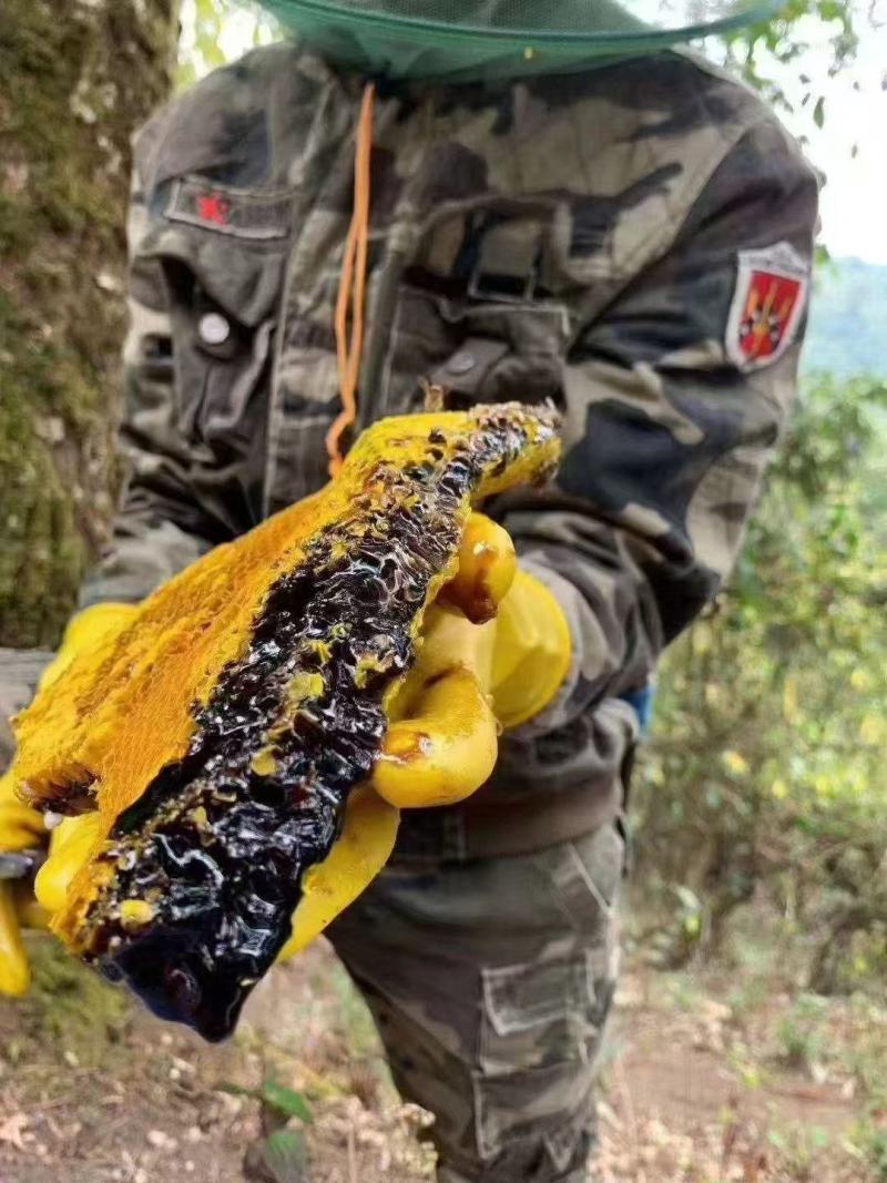 高山雨林蜜，头春蜂蜜，波美度≥42的国际标准一级蜜