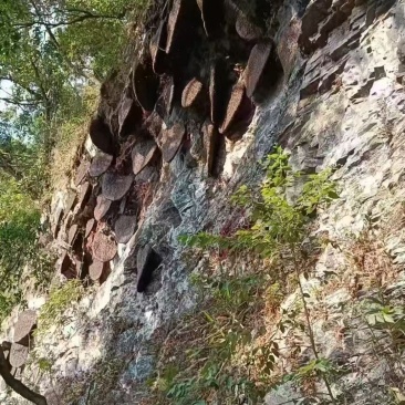 高山雨林蜜，头春蜂蜜，波美度≥42的国际标准一级蜜