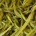 黄花菜干货