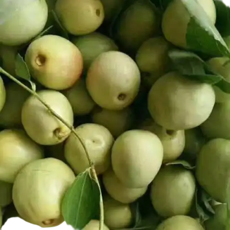 婆枣