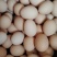 鲜鸡蛋🥚