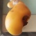 鸡宝（鸡黄）