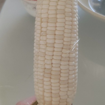 糯玉米