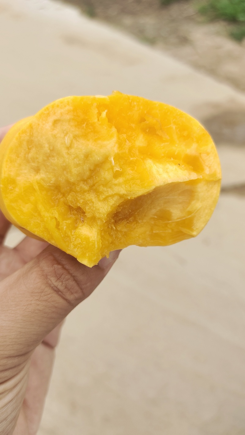 风味天后