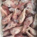 带舌仔鹅头