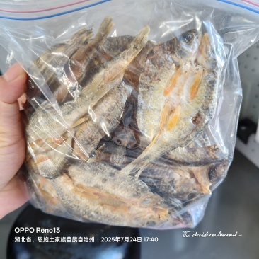 干鱼