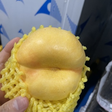 黄金蟠桃