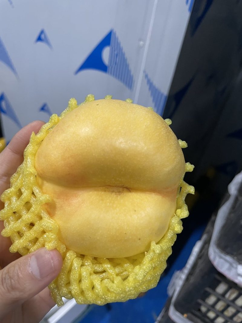 黄金蟠桃