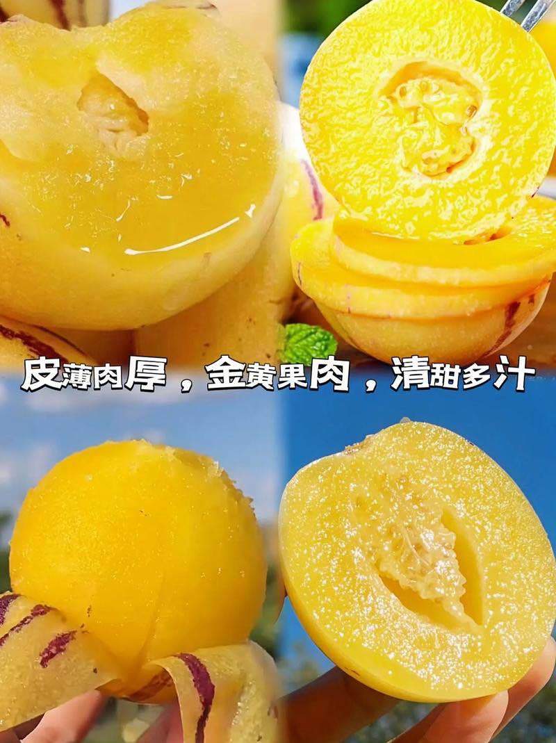 云南石林人参果