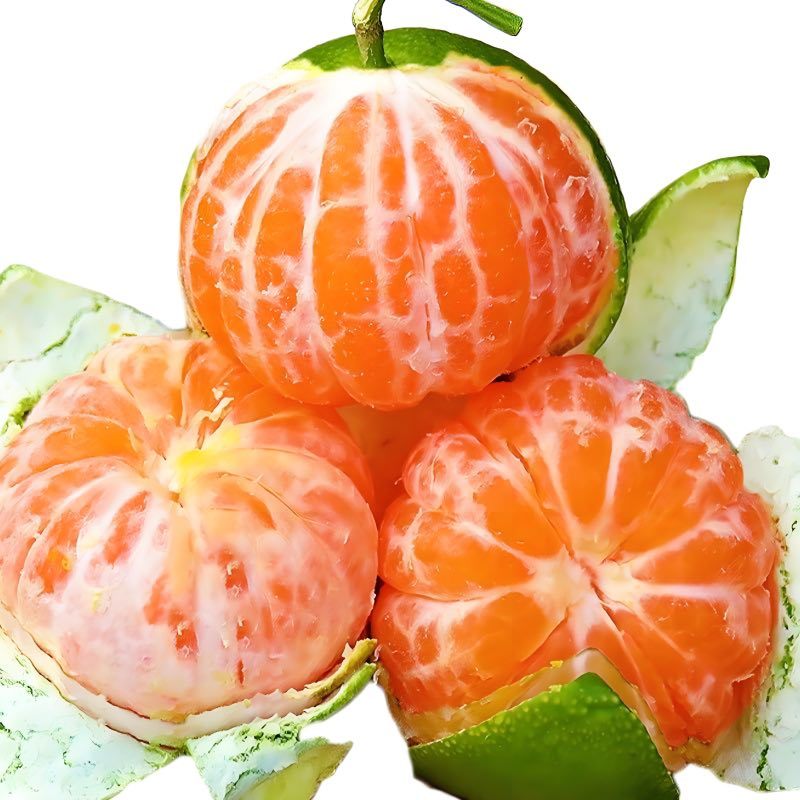 蜜橘