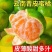 蜜橘