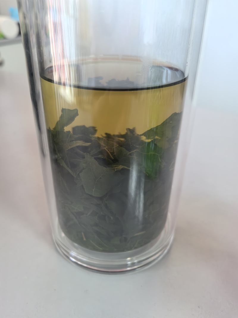 蛋白桑桑叶茶