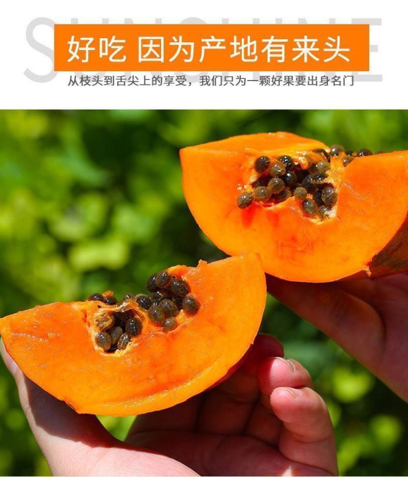 红心木瓜