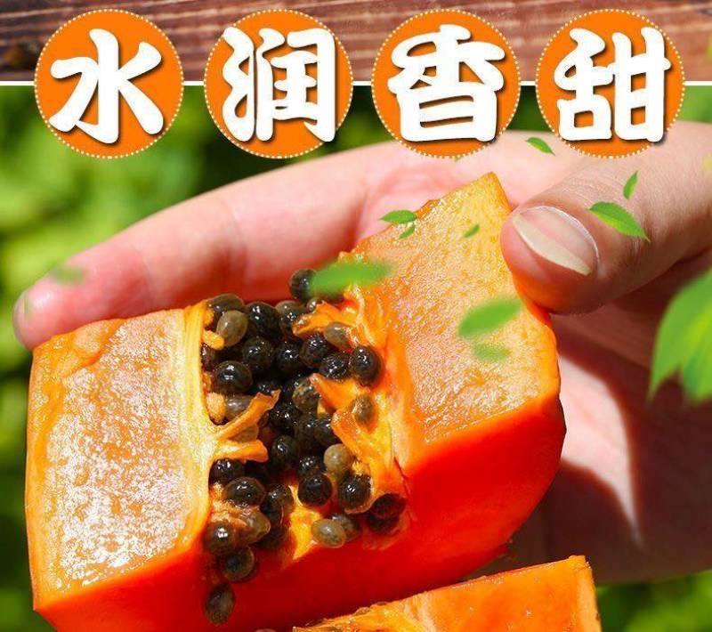 红心木瓜