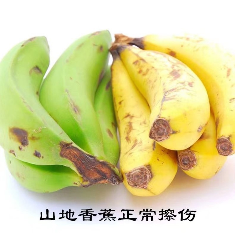 单根香蕉