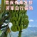 单根香蕉