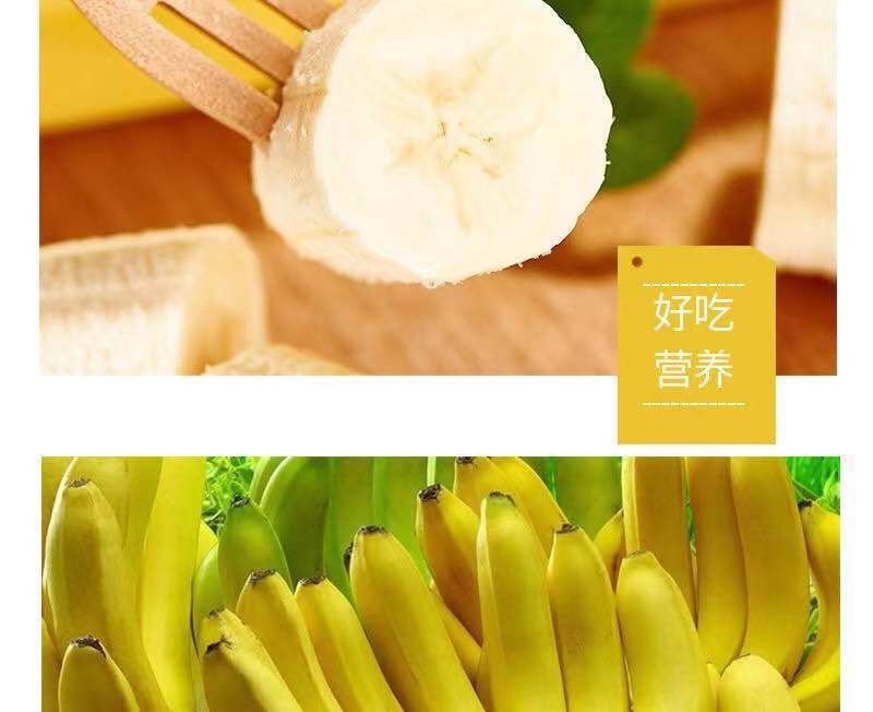 威廉斯香蕉