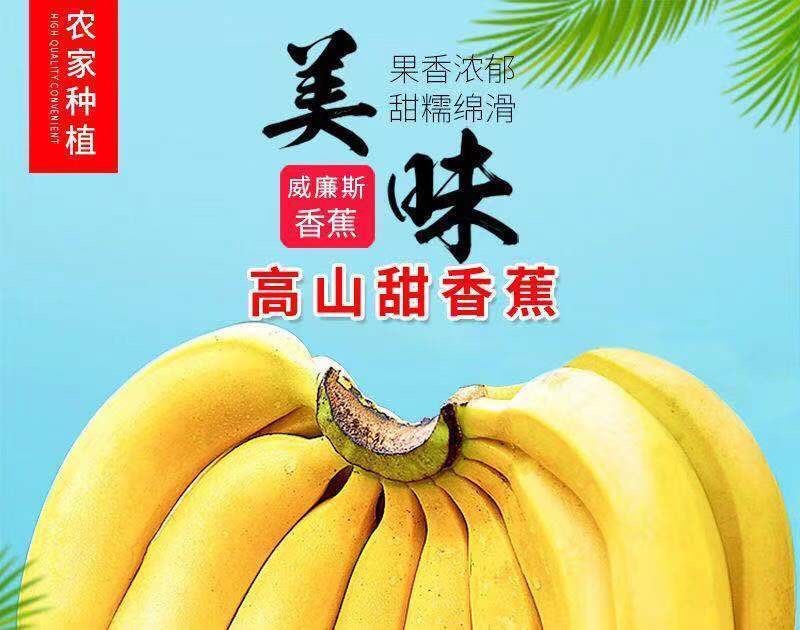 威廉斯香蕉