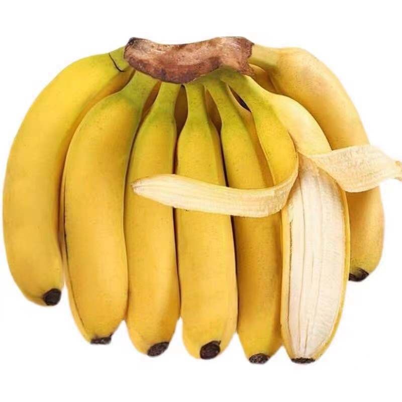 威廉斯香蕉