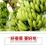 威廉斯香蕉