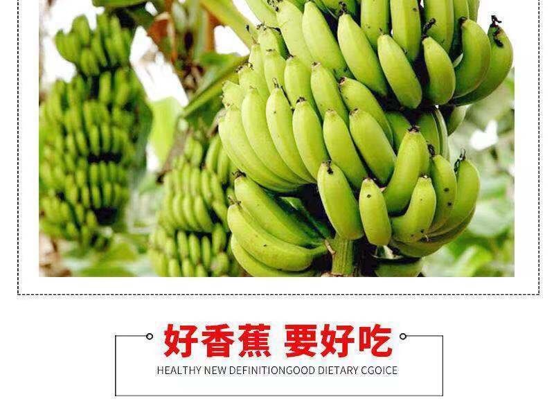 威廉斯香蕉