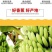 威廉斯香蕉