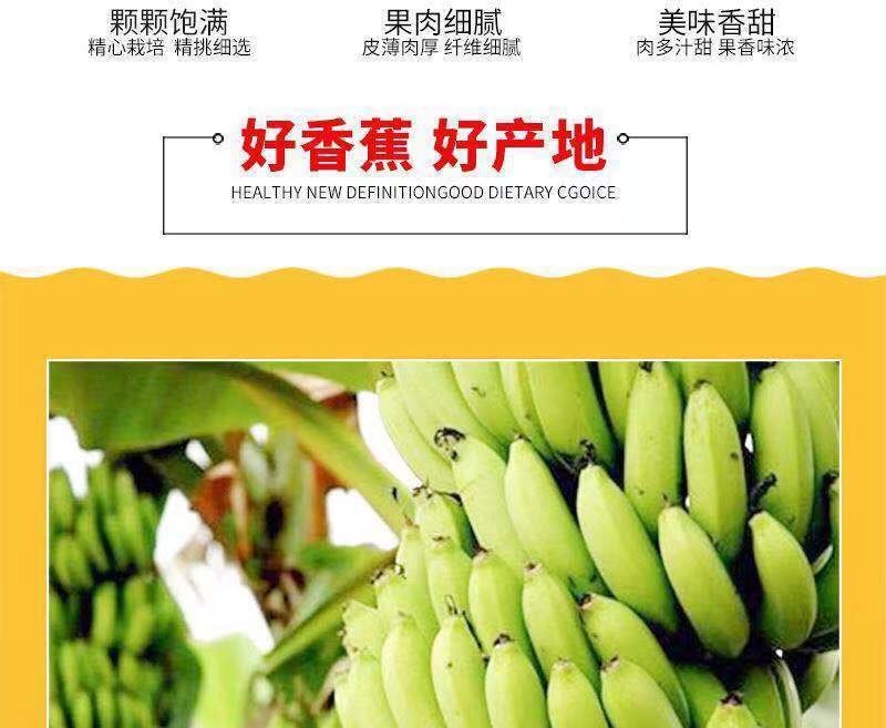 威廉斯香蕉