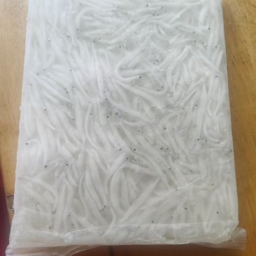 银鱼