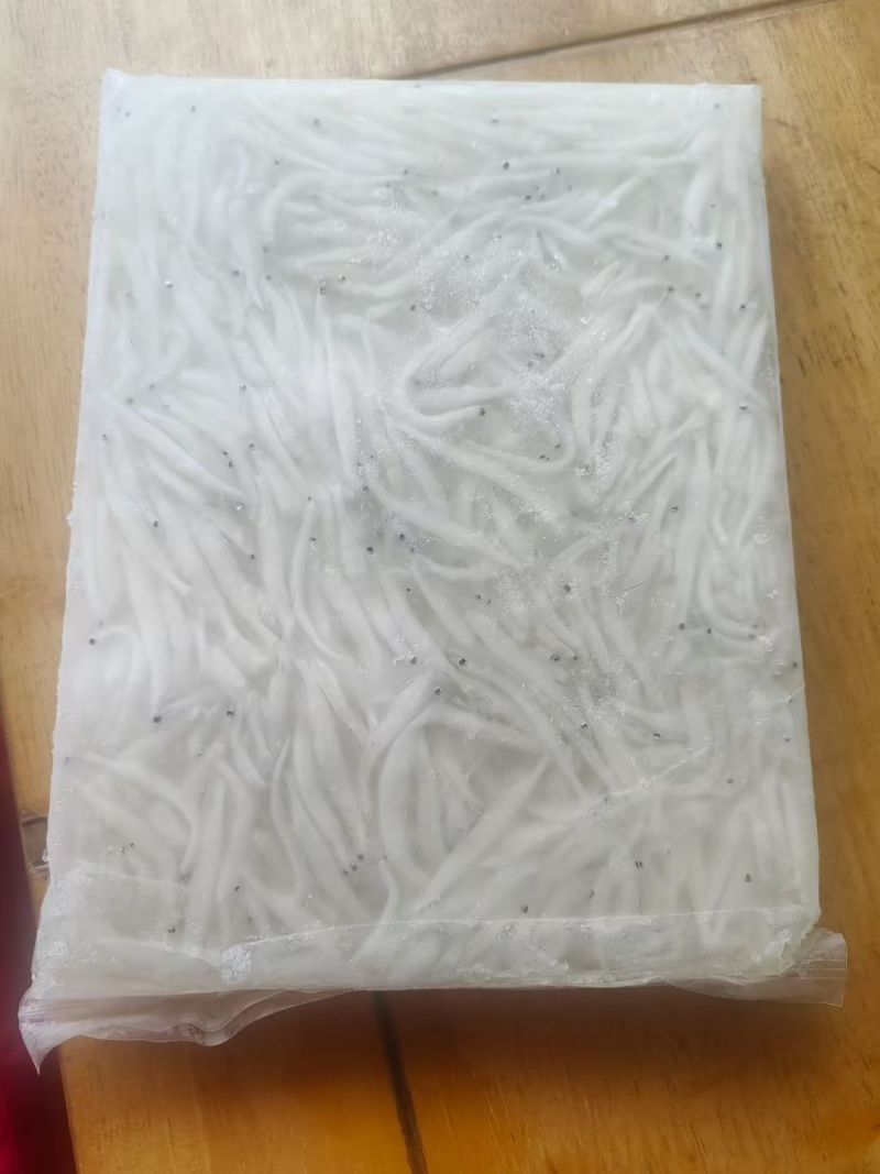 银鱼