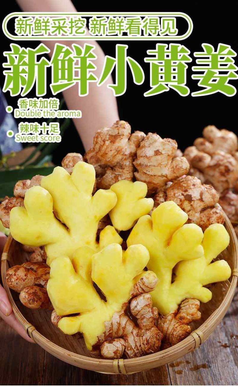 小黄姜（老姜）
