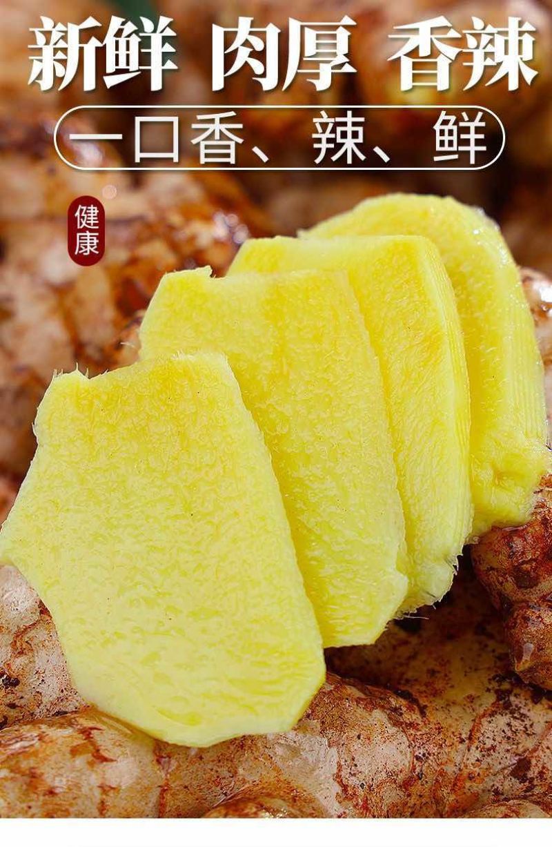 小黄姜（老姜）
