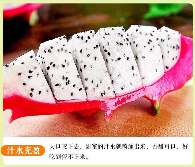 白心火龙果