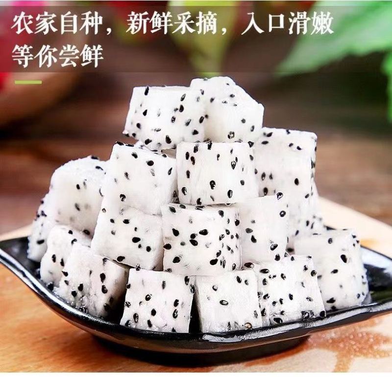 白心火龙果