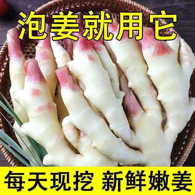 新生姜