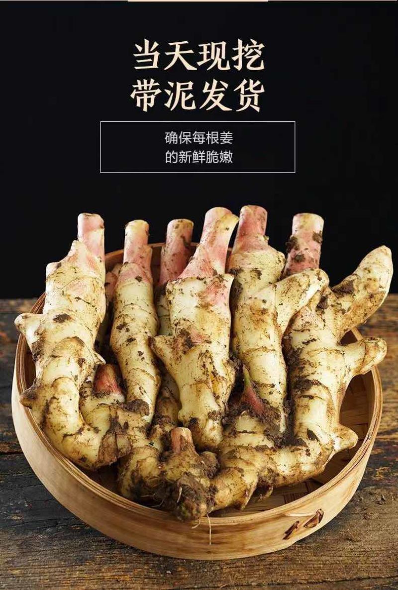 新生姜