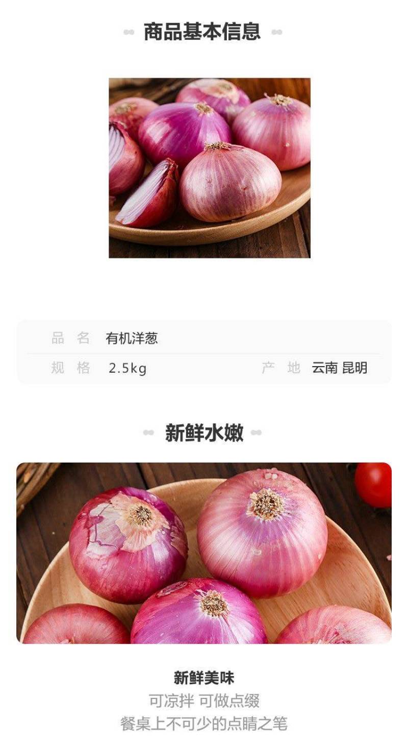洋葱