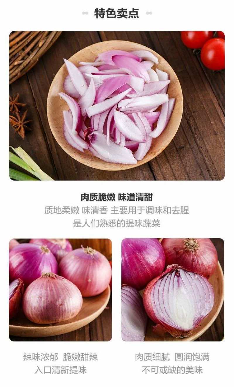 洋葱