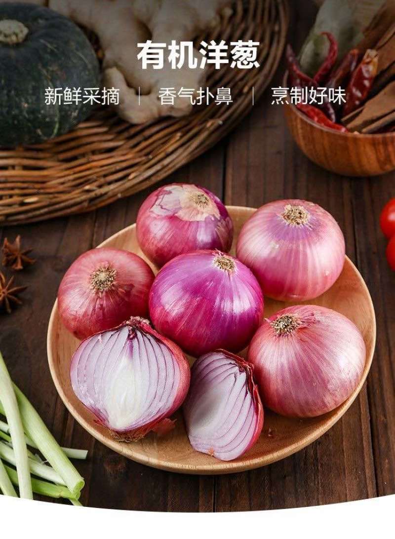 洋葱