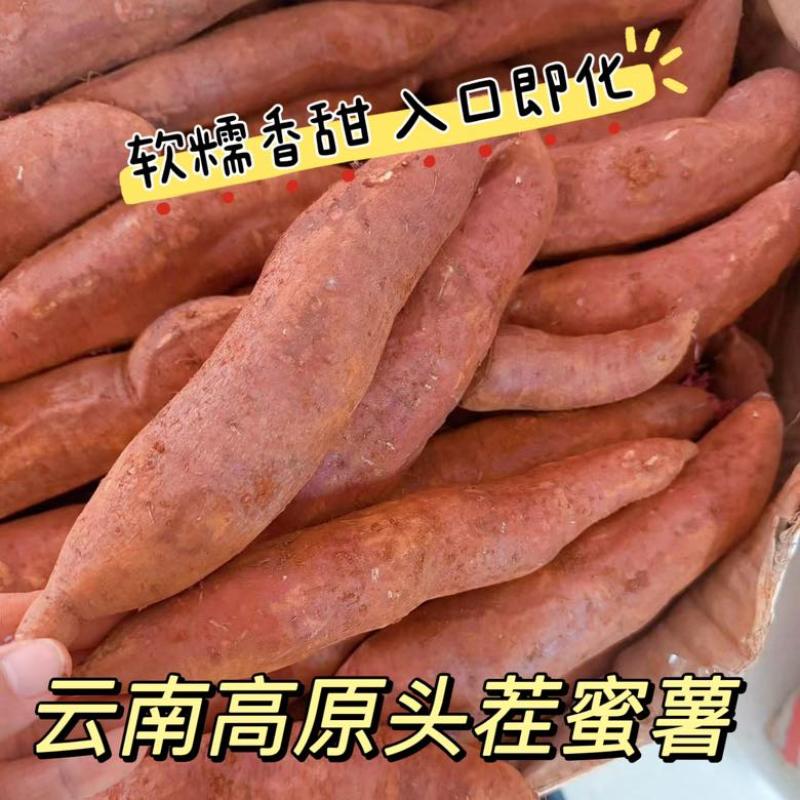 红薯