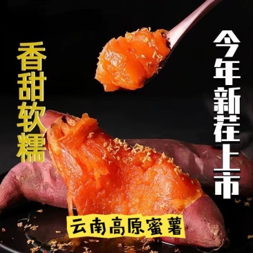 红薯