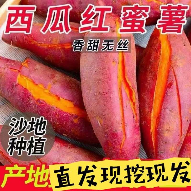 红薯