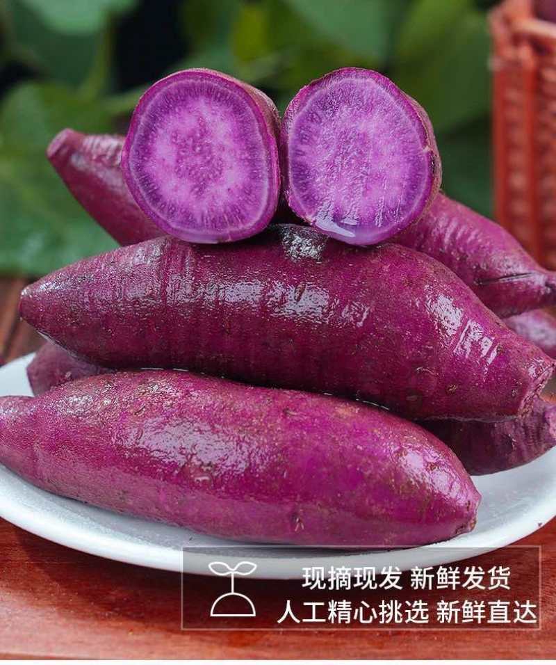 紫薯