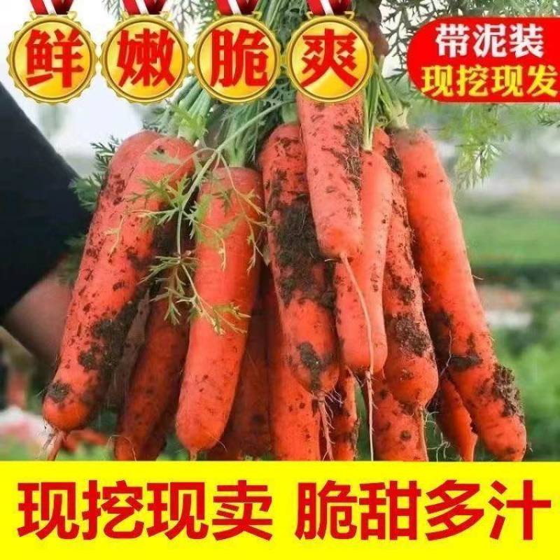 胡萝卜
