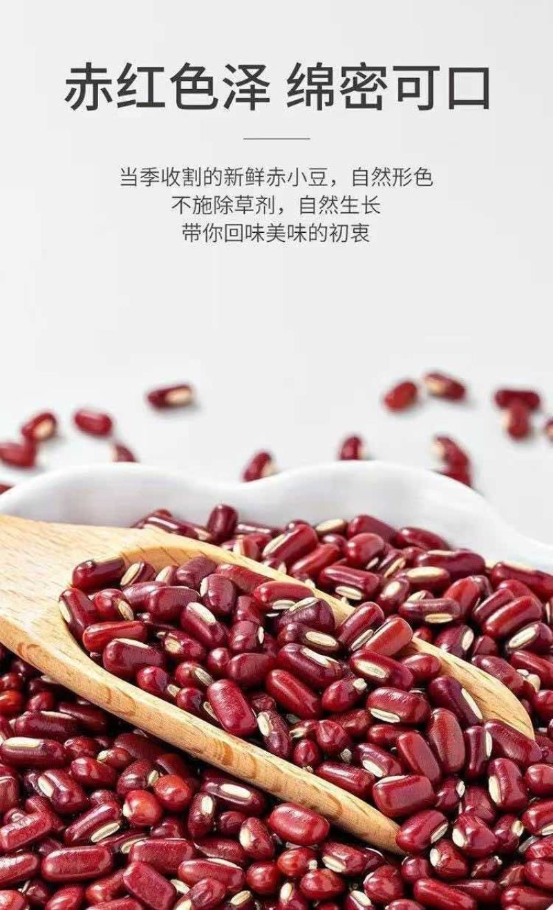 赤小豆