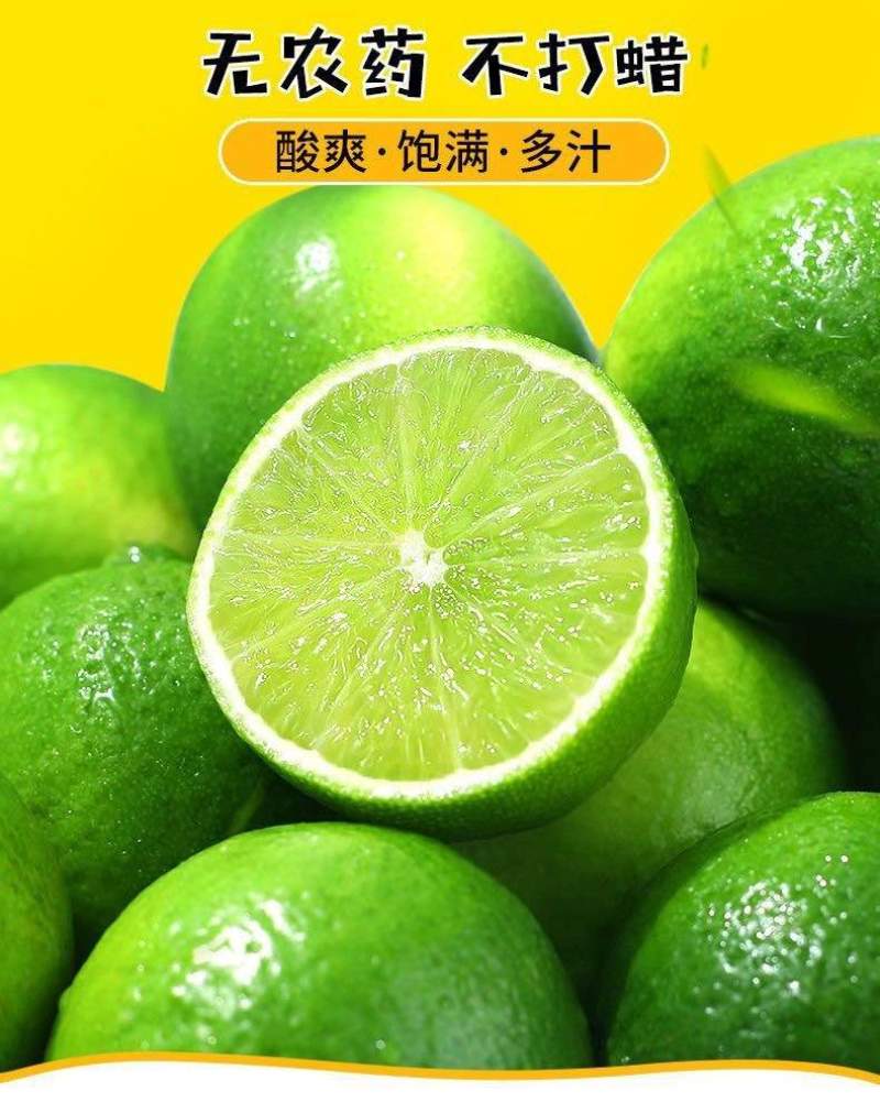 塔西提柠檬