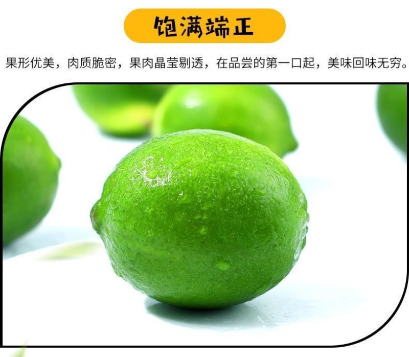 塔西提柠檬