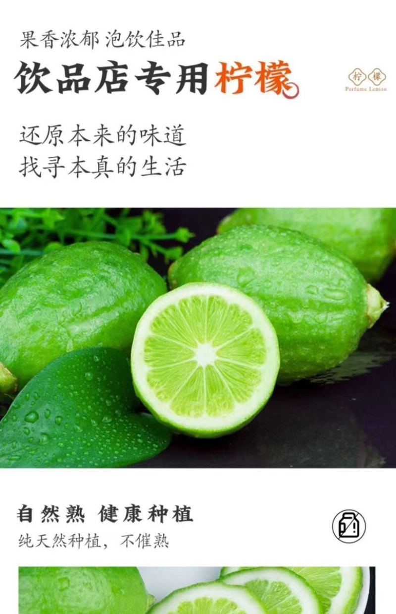 广东香柠檬