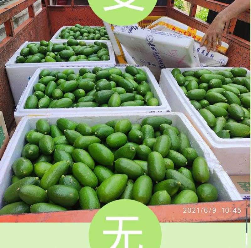 子弹头香水柠檬